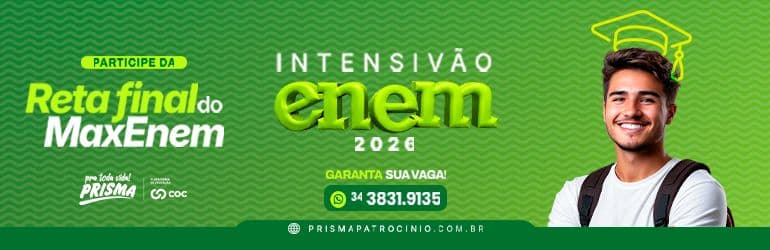 Prisma Curso