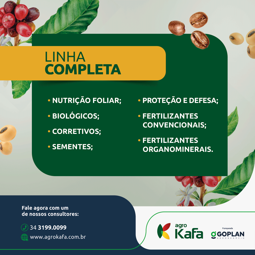 AGROKAFA INICIO 24-11