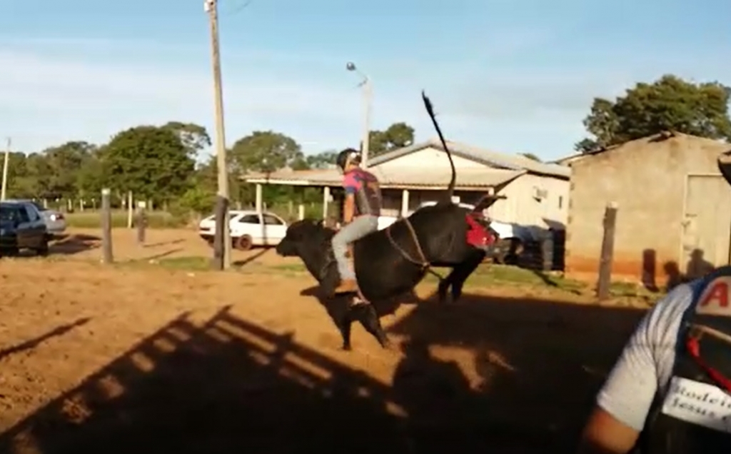 Peão de rodeio morre pisoteado por boi durante montaria