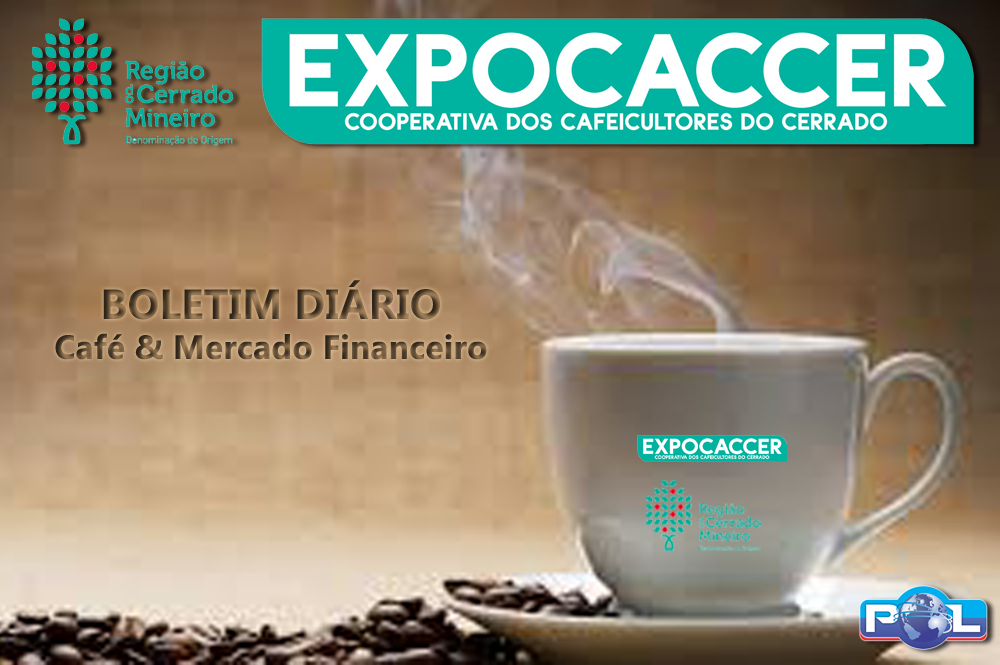Célio Rafael Martins Júnior - Coordenador de TI - Expocaccer - Cooperativa  dos Cafeicultores do Cerrado